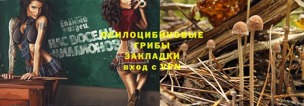 СК Мегион
