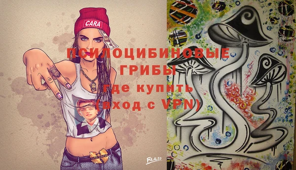 спиды Медногорск