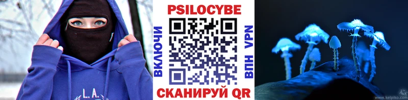 Галлюциногенные грибы мицелий  наркотики  Мурино 